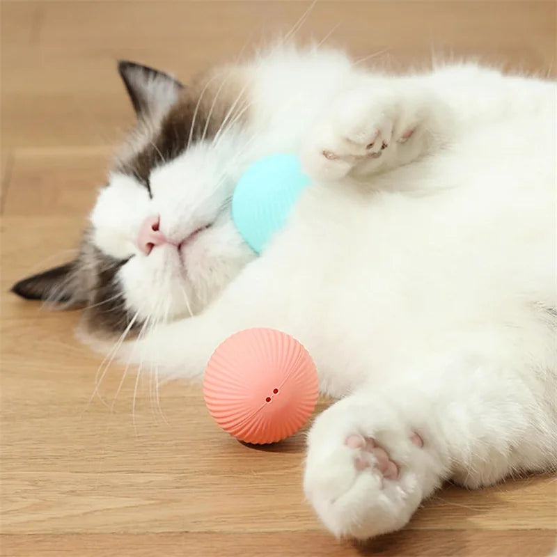 Smart Bouncing Ball – Automatic Interactive Pet Toy