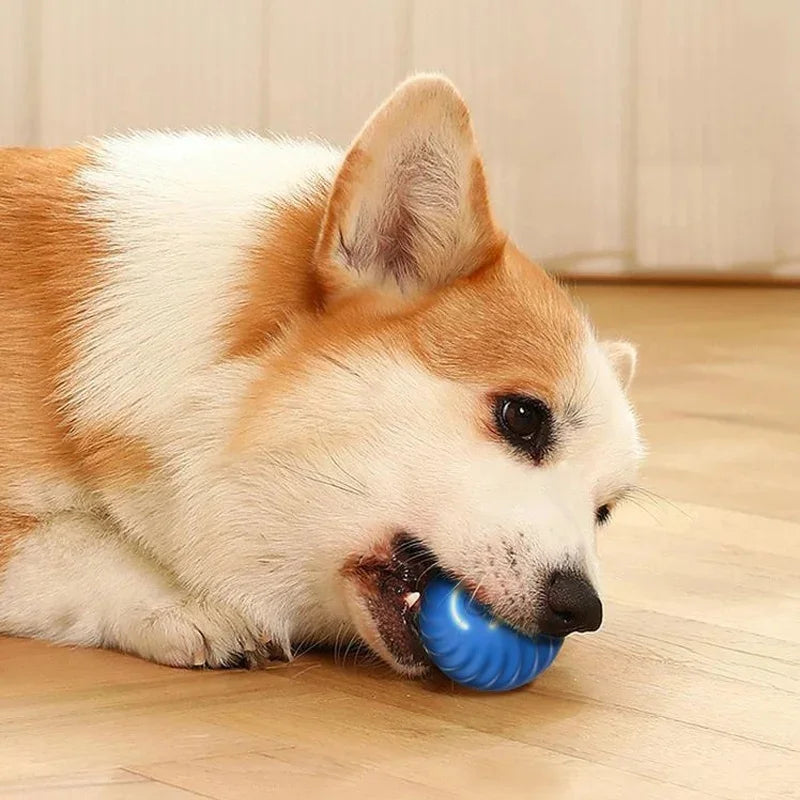 Smart Bouncing Ball – Automatic Interactive Pet Toy