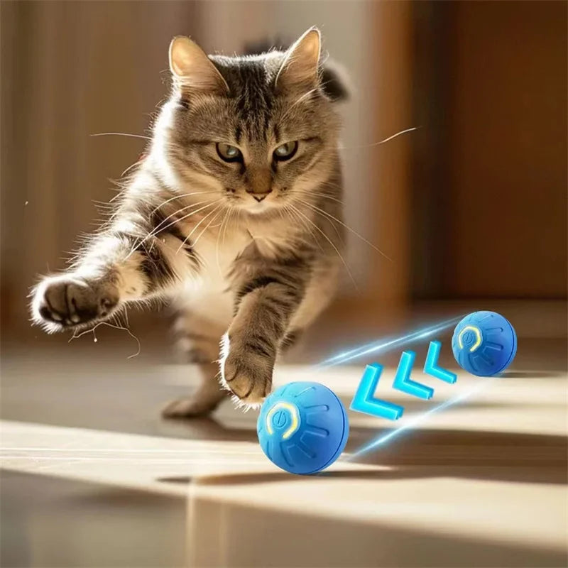 Smart Bouncing Ball – Automatic Interactive Pet Toy