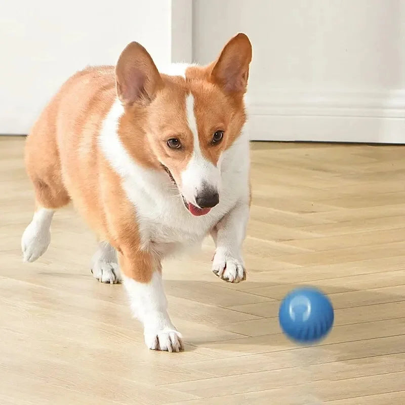 Smart Bouncing Ball – Automatic Interactive Pet Toy