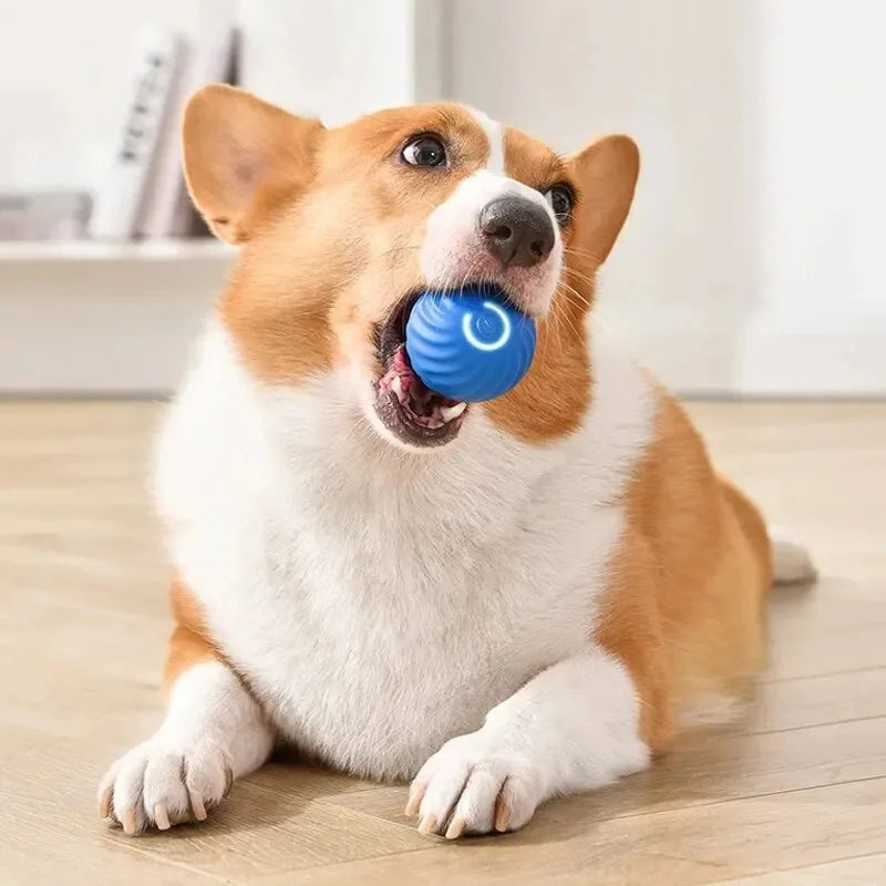 Smart Bouncing Ball – Automatic Interactive Pet Toy
