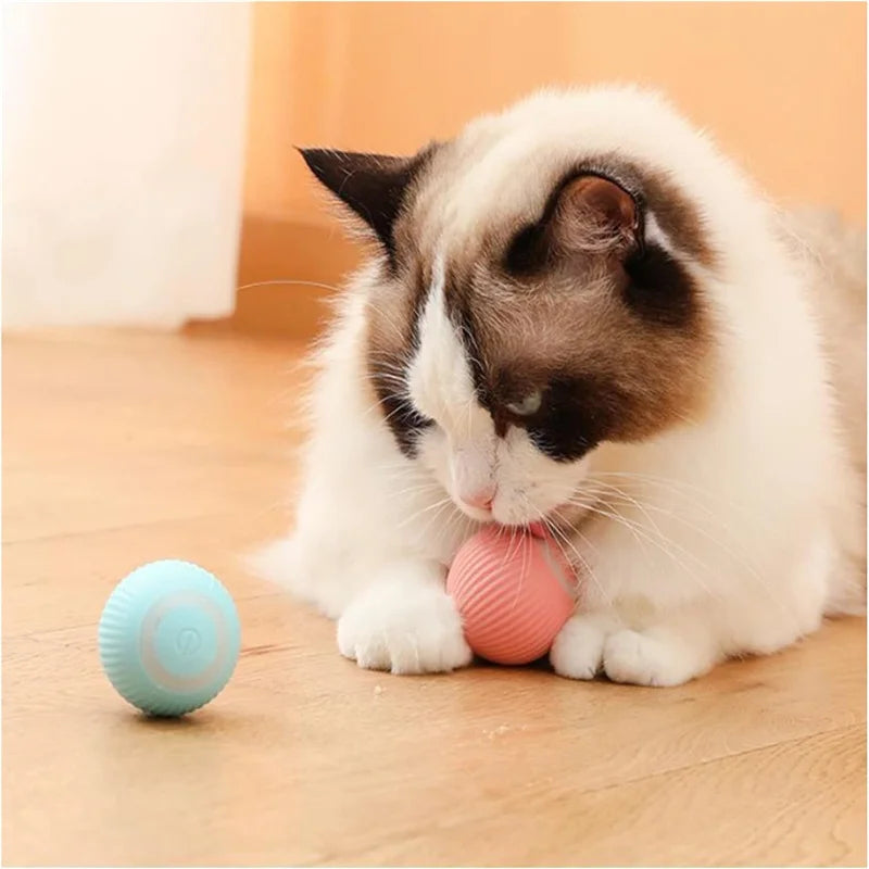 Smart Bouncing Ball – Automatic Interactive Pet Toy